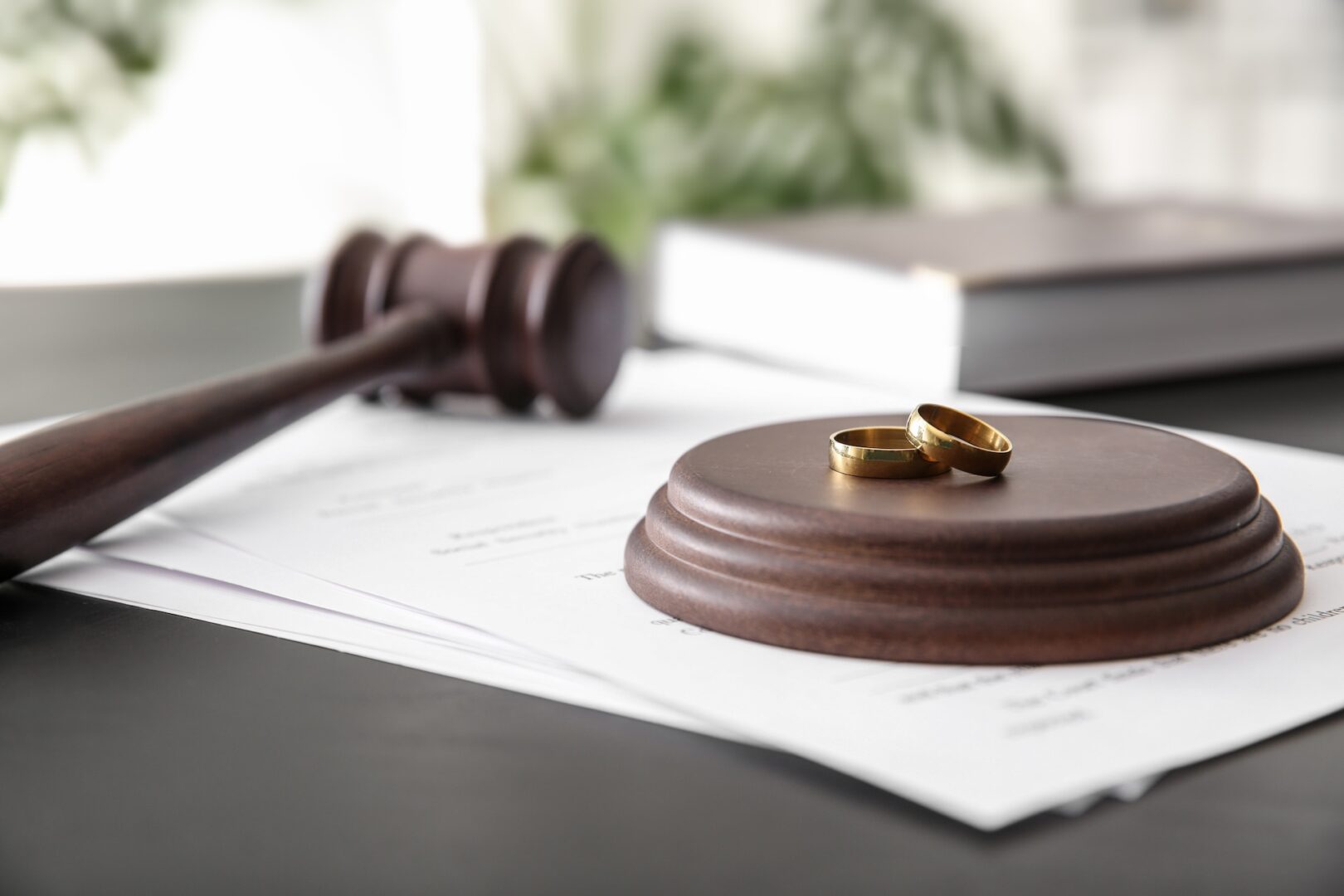 A wooden judge's gavel and two gold wedding rings rest on a round wooden base placed on top of legal documents. There are blurred books and greenery in the background.